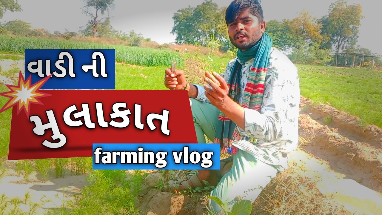 અમારી વાડીની મુલાકાત 🥳🌿 | Farming Vlog | villege boy 2592