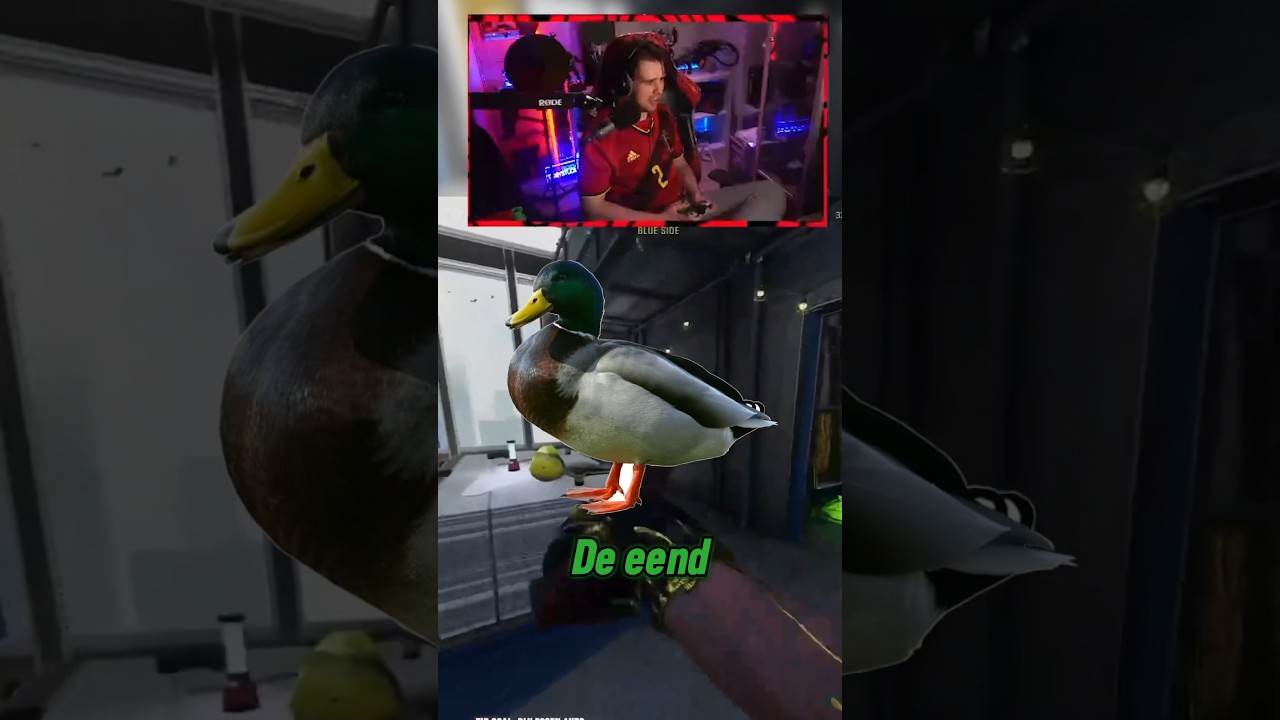 GROOTSTE JUMPSCARE DOOR EEN EEND?! COD Jumpscares #1 #gamingonyoutube #cod #eend #duck #mw3