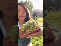trying viral nyc food