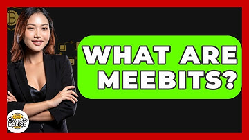 What Are Meebits? - CryptoBasics360.com