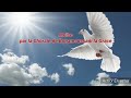 Les colombe de bonamoussadi  mose clip officielle