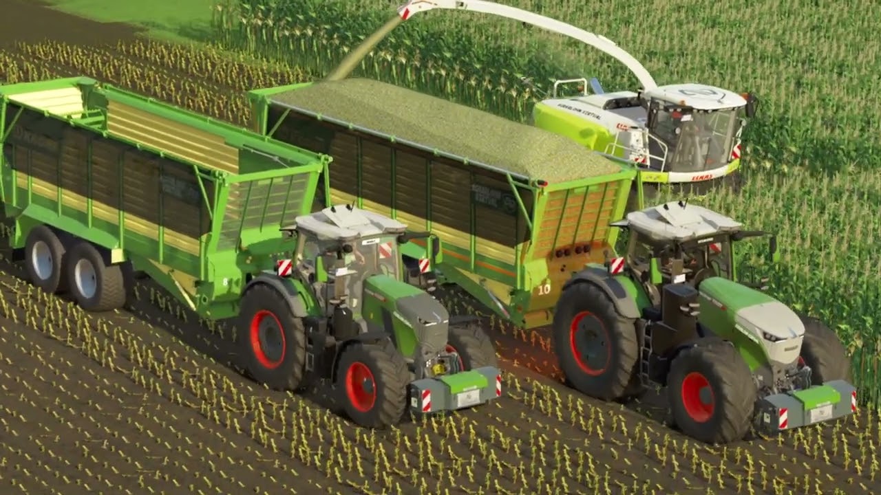 Mais vernichten auf der Gülzow