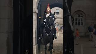 Download Lagu spooked by umbrella 🌂 #royalguards MP3 Download Lagu spooked by umbrella 🌂 #royalguards MP3