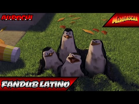 Madagascar - Amigo Monocromático | Fandub Latino
