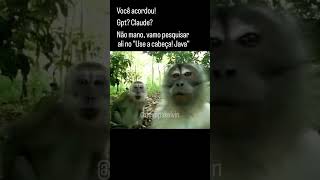 Qualquer coisa nois apela pro Deitel... #memes #humor #devops #dev #java