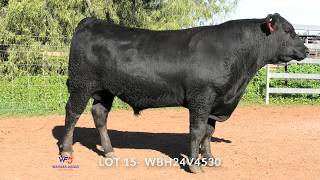 LOT 15- WBH24V4530