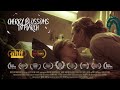 Cherry blossoms in march  award winning short film  based on a true story