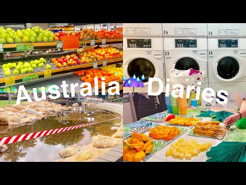 🇦🇺Australia♡Diaries 3 ꔛ dorm party-rain floods-birds at park-studying-laundry-grocery and cooking