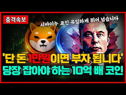 시바이누 유일하게 뛰어 넘는다 '단 돈 1만원이면 부자 됩니다' 지금 당장 잡아야만 하는 역대급 10억 배 폭등 코인