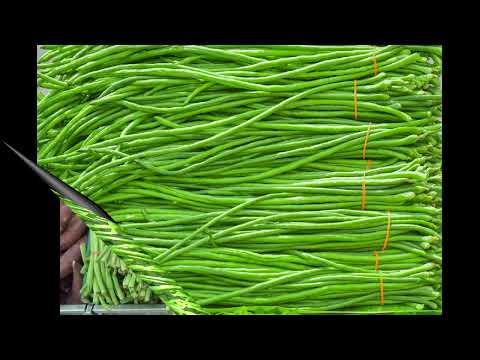 Kacang Panjang Cocok Untuk Diet