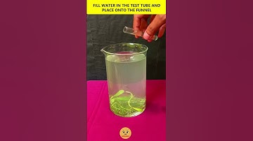 Photosynthesis Experiment - Tamil - Dr Science