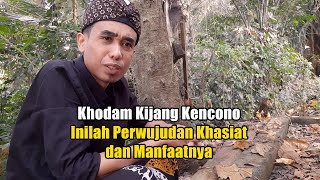 Inilah Perwujudan Khasiat Khodam Kijang Kencono