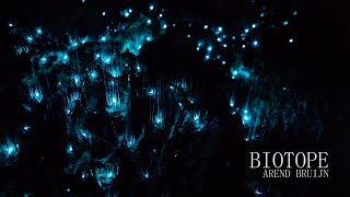 Download Lagu Biotope (Dramatic Neoclassical Music) MP3