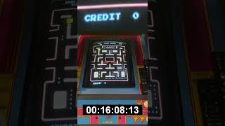 Ms Pacman - Issues - blurry screen on cold start