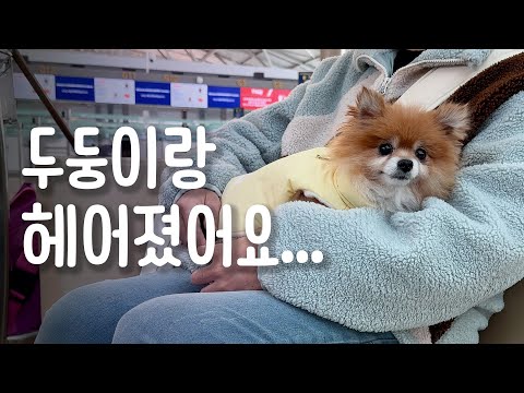 길에서 발견된 두둥이 마지막 회.