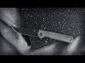 Kizer Black Micarta Handle with Black N690 Blade Folding Pocket Knives, Domin V4516N5