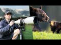 This Moment was Beautiful - Wildlife Photography in the Great Smoky Mountains
