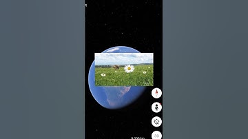 🤯🧐I Found Werid Gaint Strange Flower On Google maps🗺️#shorts #trending #map #scary #datadefender4u
