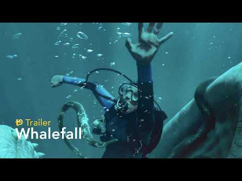 Whalefall - Trailer final español
