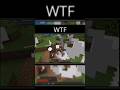 (wtf) Minecraft wait what