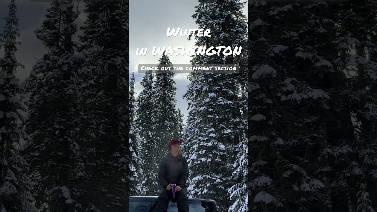 Fun winter activities in Washington 