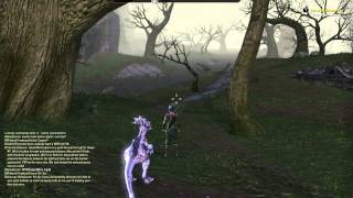 ESO Run Glitch