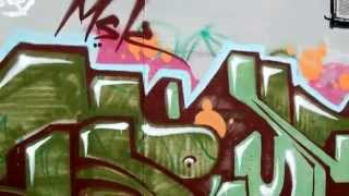 Pysa LTS - MSK Profile