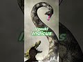 #facts #snake #information #interestingfacts #python #knowledge #new #fact #factsmine