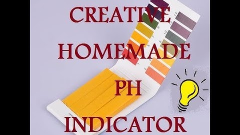 CREATIVE HOMEMADE PH INDICATOR [EASY]