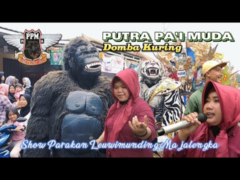 Domba Kuring | PUTRA PA'I MUDA | Live Show Parakan Leuwimunding Majalengka