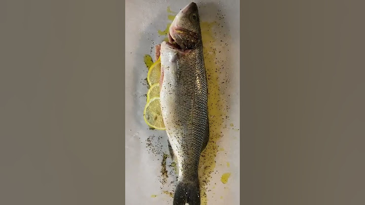 EASIEST BAKED WHOLE FISH RECIPE EVER! EUROPEAN SEA BASS — BRANZINO