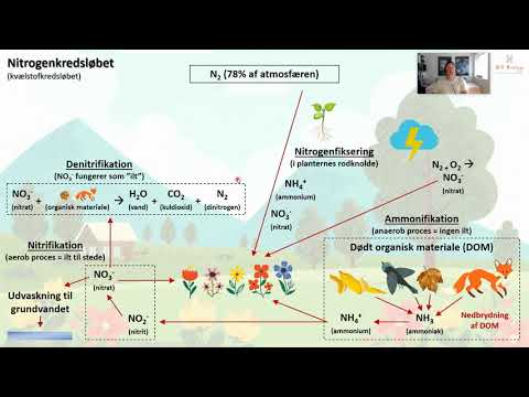 Video: Hvad Biologi Studerer