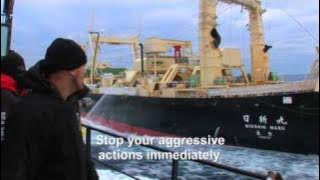 Whale Wars: Best of Series 1: First Attack on the Mothership