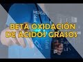 BETA OXIDACIÓN