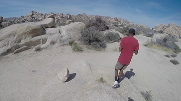 Joshua Tree Spring break 2018