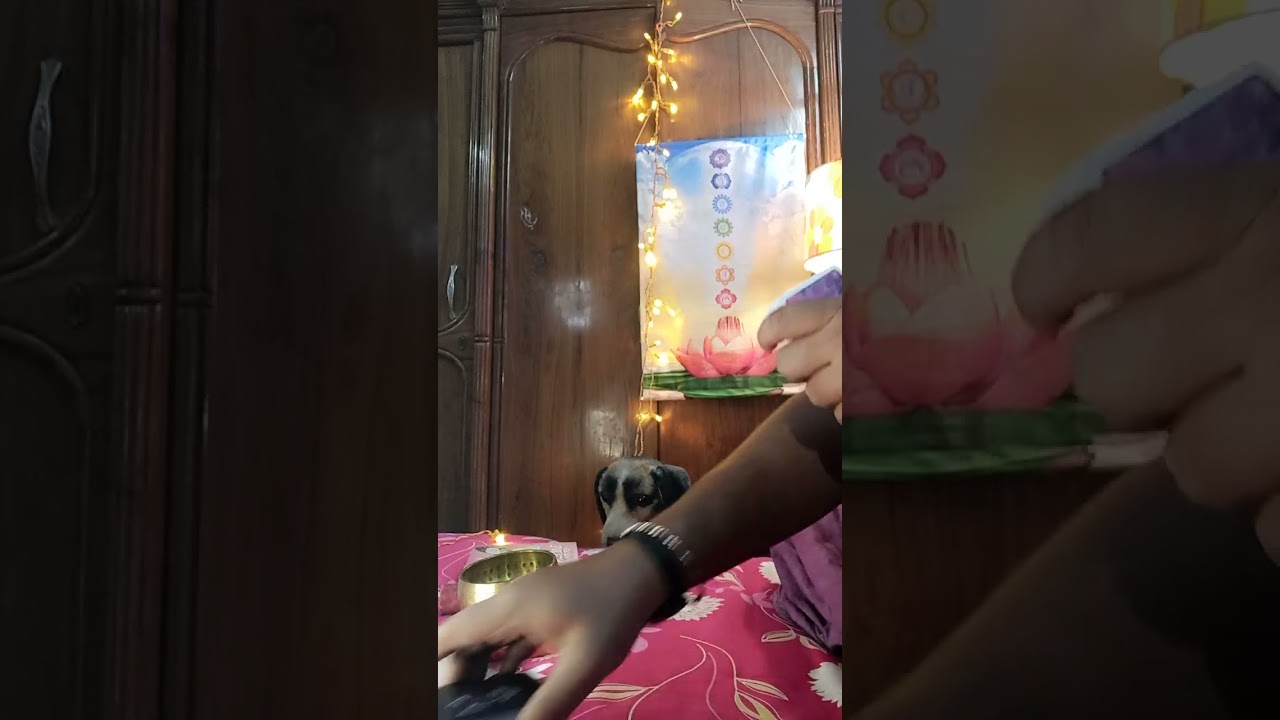 পিছু হটছে শত্রুর তান্ত্রিক বিপদে তৃতীয় ব্যাক্তি 🧿🙏@MUHURTERDAKEAMISANGITA789 #tarot #divine 🛡️#love 