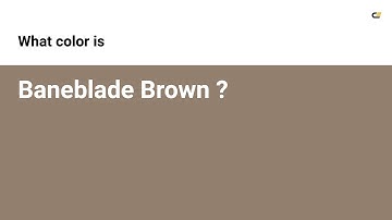 Baneblade Brown color #937f6d hex color - Brown color - Cool color 937f6d