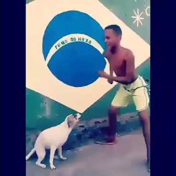 Cheka na fredy