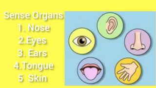 Download Lagu A song about Sense Organs for Kids | JCLESSONS MP3