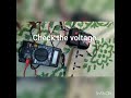 charging 4 volt lead acid battery 🔋