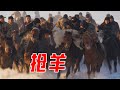 【环华十年】近距离观看中国新疆哈萨克族，雪地“叼羊”要不是我跑得快，差点送命了！