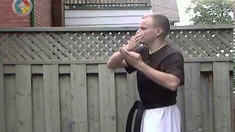 Taekwondo: Hapkido: Foundations: knife hand outward front strike, side view