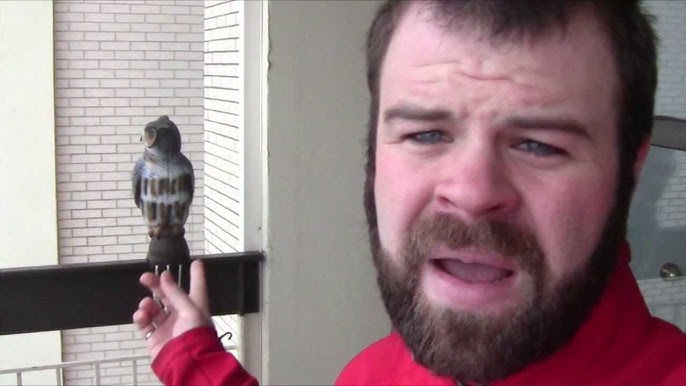 how to keep pigeons off the balcony