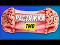 Растяжка твердой мозговой оболочки (ТМО) | Остеопат Марина Просветина