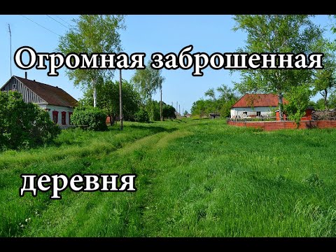 ОГРОМНАЯ ЗАБРОШЕННАЯ ДЕРЕВНЯ ПОСРЕДИ ПОЛЕЙ. УДИВИЛИСЬ НАХОДКЕ. ЧАСТЬ 1