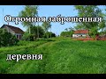 ОГРОМНАЯ ЗАБРОШЕННАЯ ДЕРЕВНЯ ПОСРЕДИ ПОЛЕЙ. УДИВИЛИСЬ НАХОДКЕ. ЧАСТЬ 1