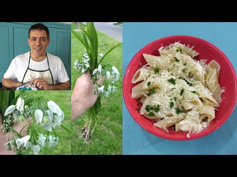 Video: Cómo Cocinar Ajo Silvestre
