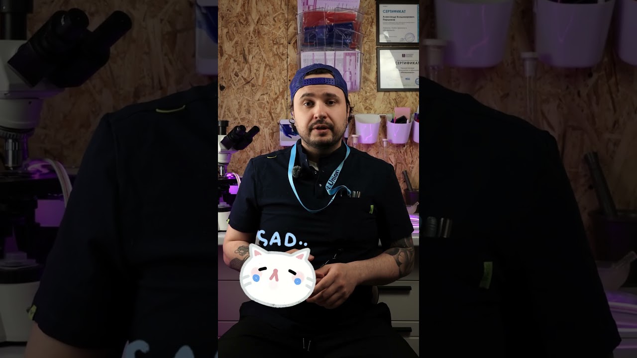 FeLV.3 Part.2 #shorts