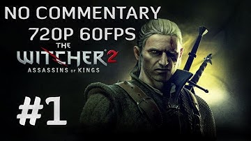 The Witcher 2: Assassins of Kings Enhanced Edition #1