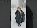 Cat with winter #shorts #cat #funny